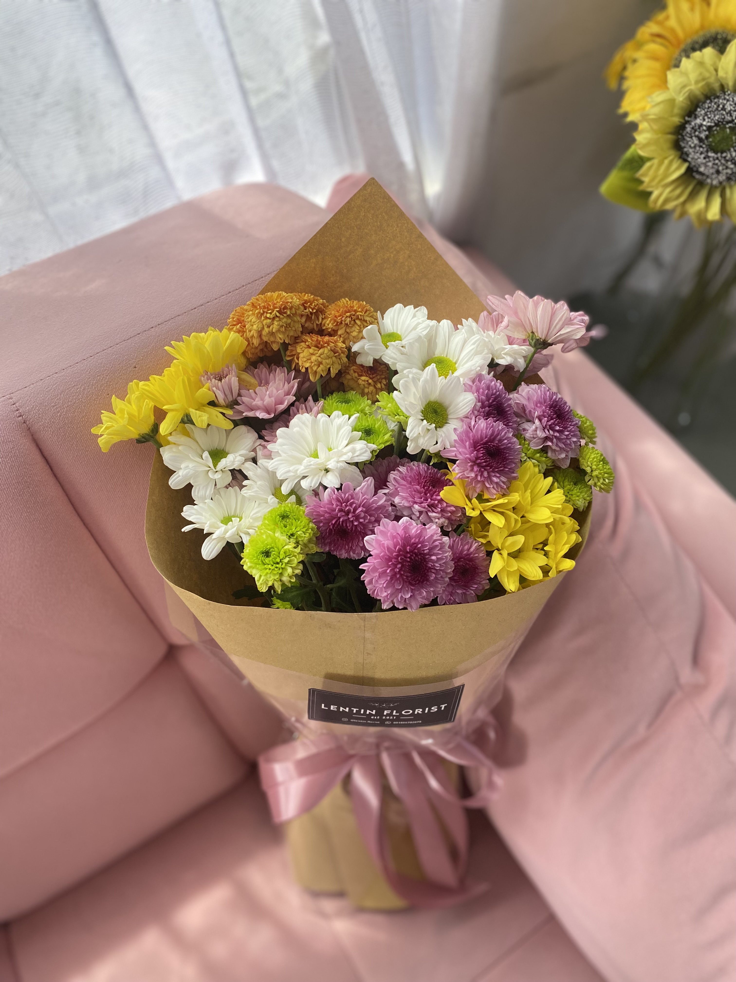 Lavena Aster